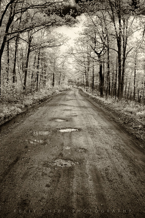 "The road unexplored..."
