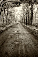 "The road unexplored..."
