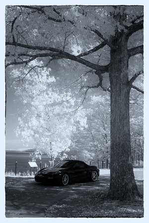 IM7_4293bw2_lr